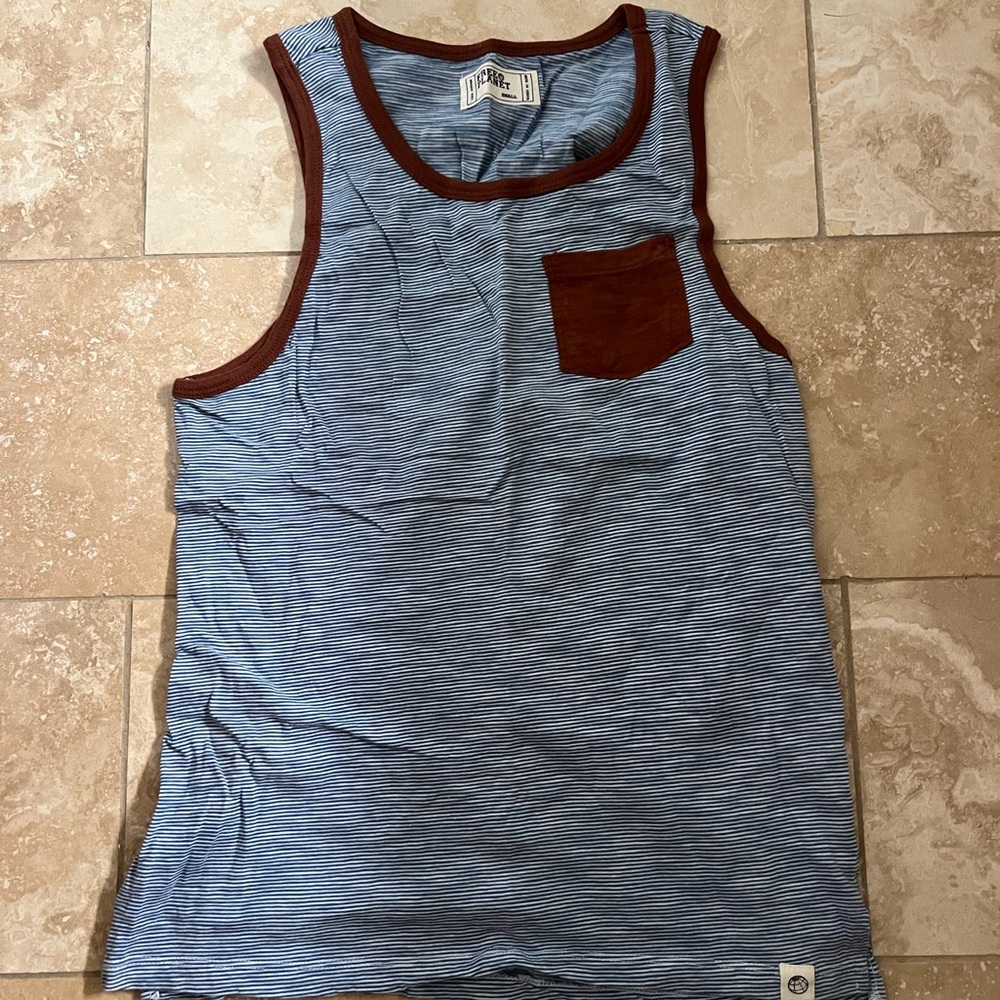 Free Planet Blue and Brown Striped Top